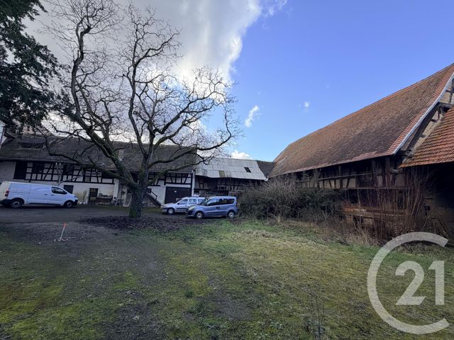 Maison &agrave; vendre - 10 pi&egrave;ces - 650 m2 - Lingolsheim - 67 - ALSACE