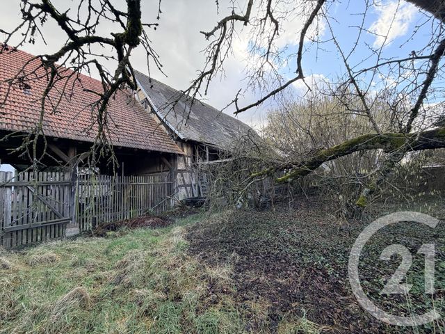 Maison &agrave; vendre - 10 pi&egrave;ces - 650 m2 - Lingolsheim - 67 - ALSACE