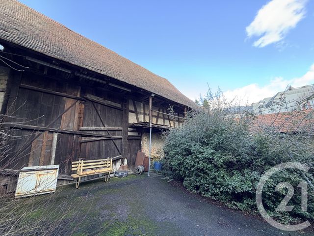 Maison &agrave; vendre - 10 pi&egrave;ces - 650 m2 - Lingolsheim - 67 - ALSACE