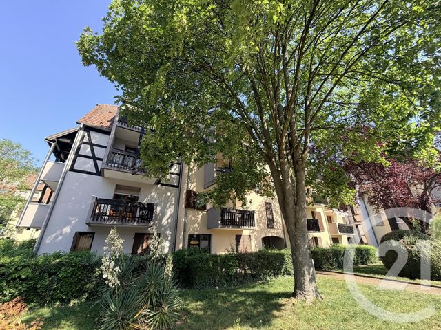 Appartement F1 &agrave; vendre - 1 pi&egrave;ce - 35 m2 - Lingolsheim - 67 - ALSACE