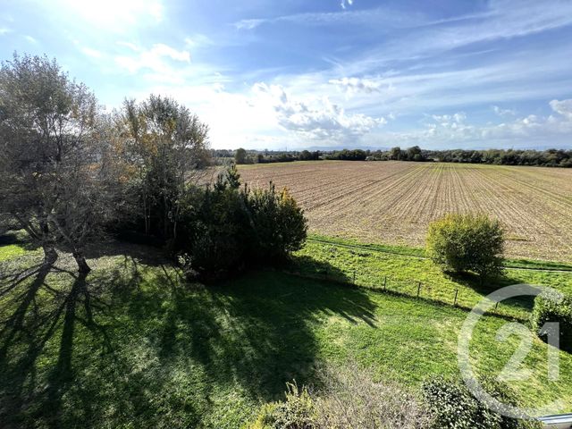 Appartement F3 &agrave; louer - 3 pi&egrave;ces - 69,33 m2 - Ostwald - 67 - ALSACE