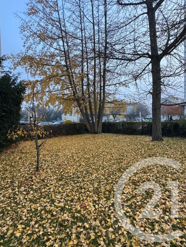 Appartement F4 à vendre - 4 pièces - 87 m2 - Strasbourg - 67 - ALSACE